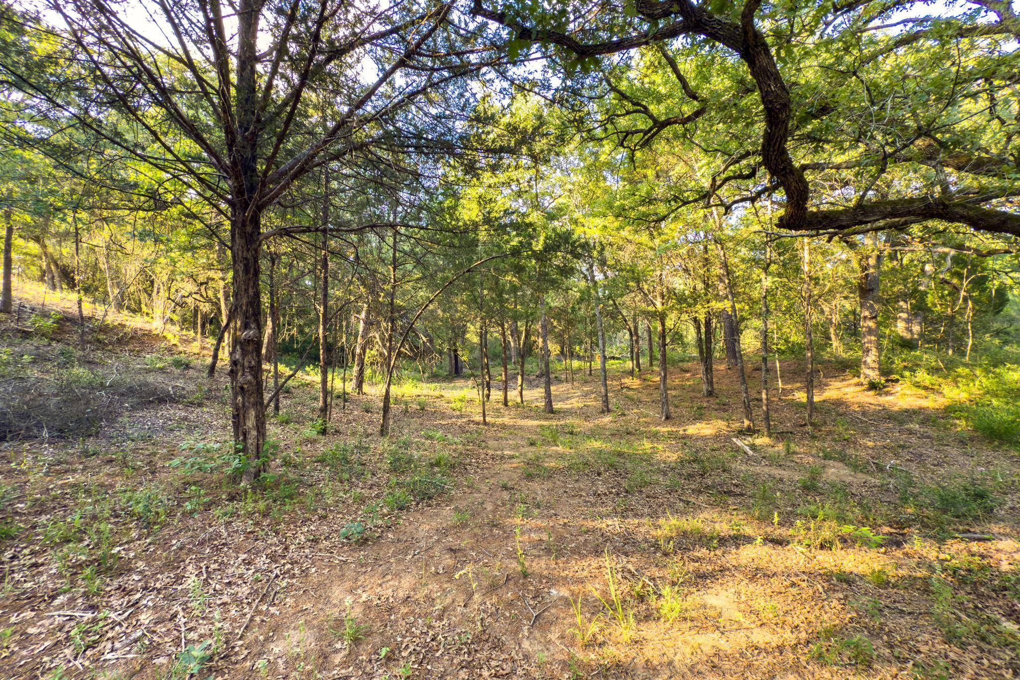 000 Green Valley DR, Bastrop, TX 78602