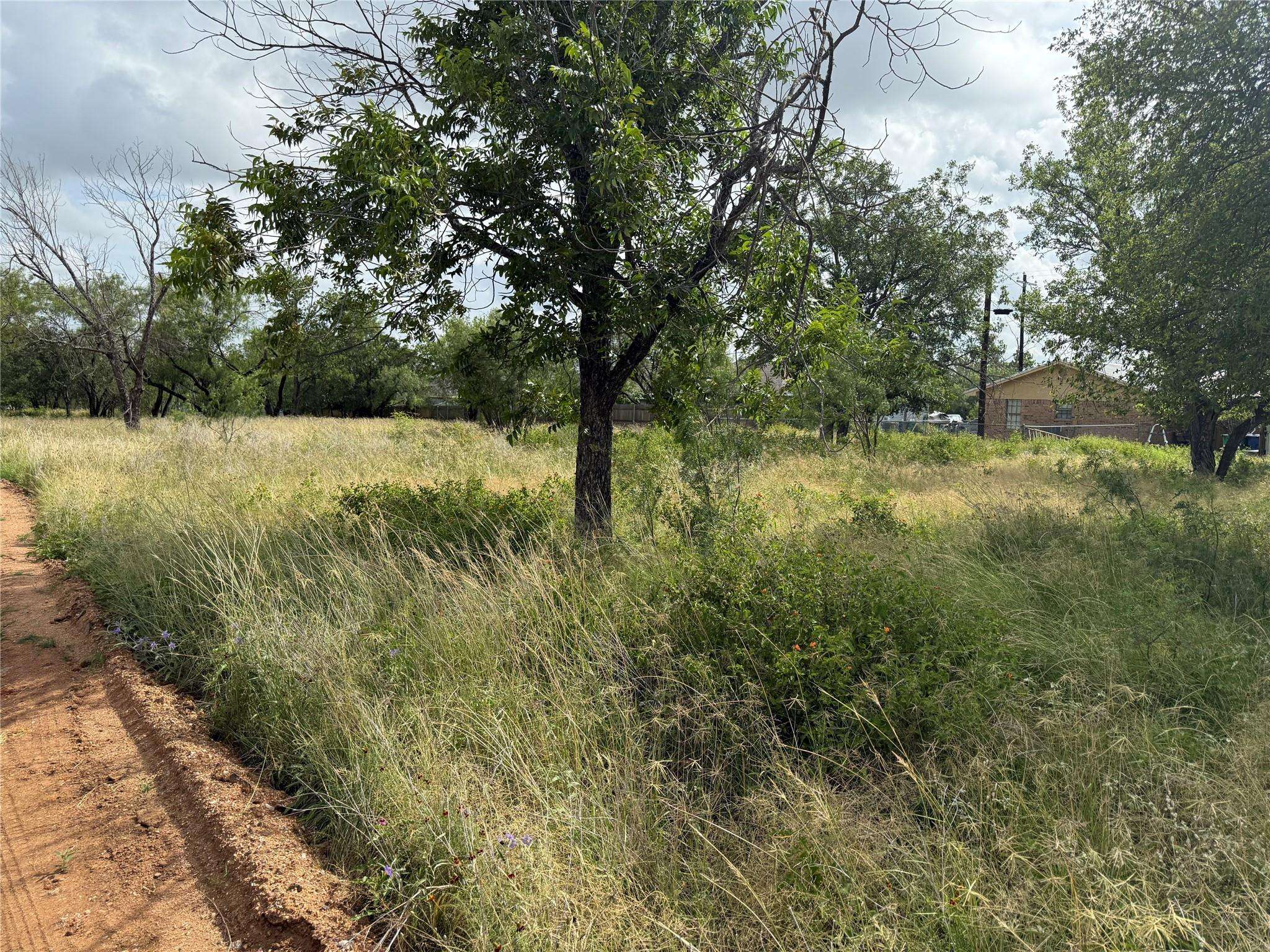 Cottonwood Shores, TX 78657,Lot 458 & 459 Fir LN