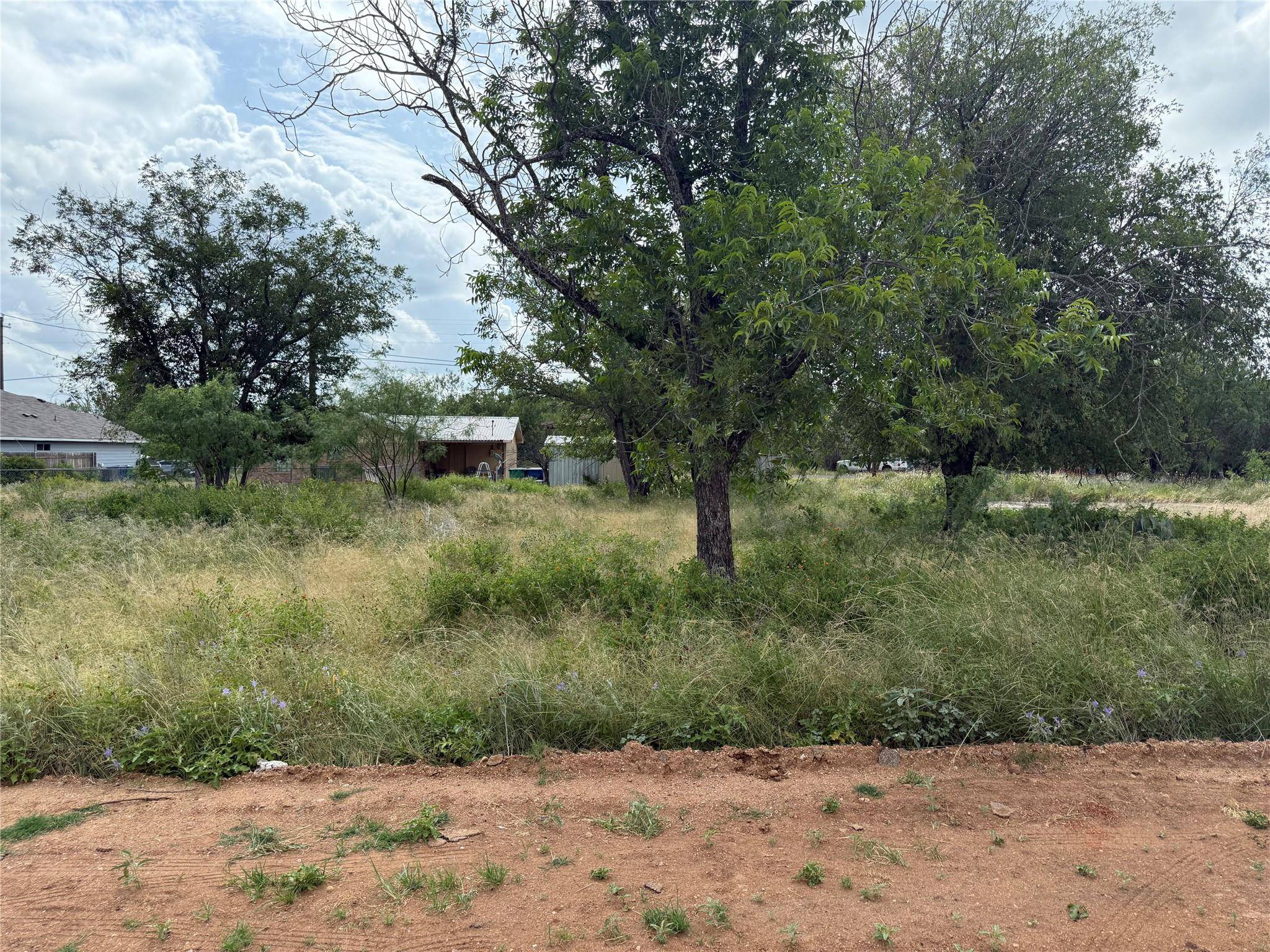 Cottonwood Shores, TX 78657,Lot 458 & 459 Fir LN