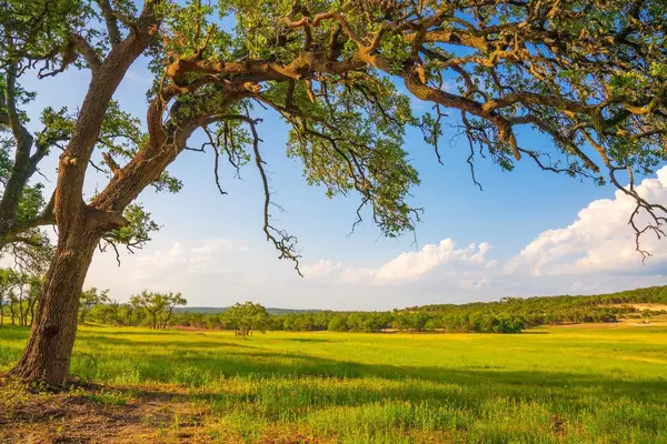 Dripping Springs, TX 78676,Address not disclosed