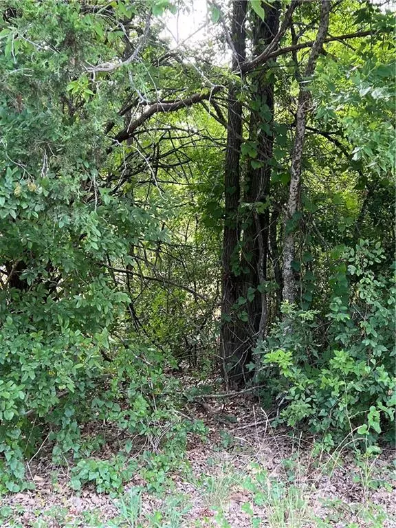 Bastrop, TX 78602,TBD-2 Meadow Creek DR