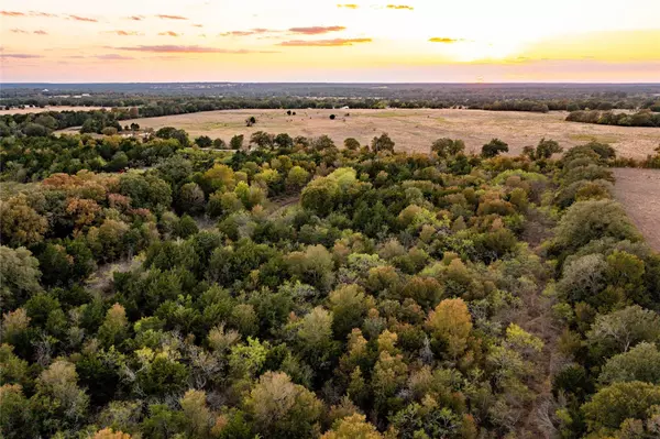000 TBD 17+/- Ac Grassyville RD, Paige, TX 78659