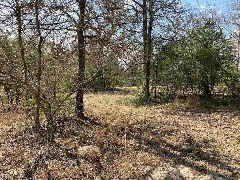 Blue, TX 78947,1689 County Road C RD