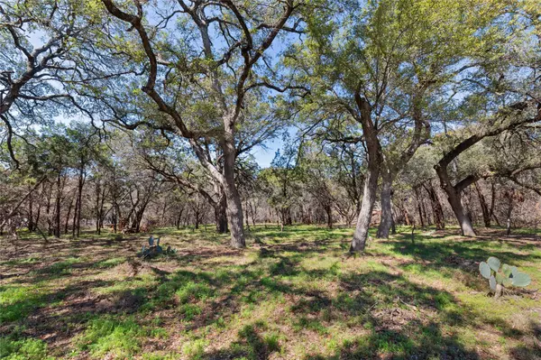 1602 Dove RD, Lago Vista, TX 78645