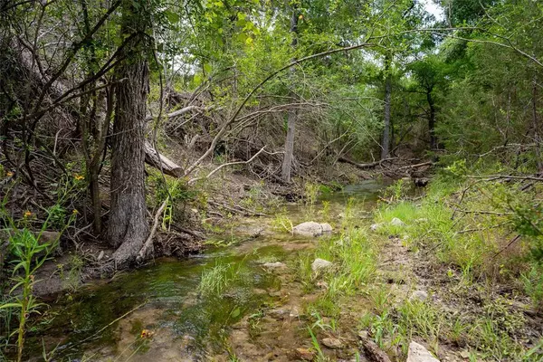 Kempner, TX 76539,0 River Shoals DR