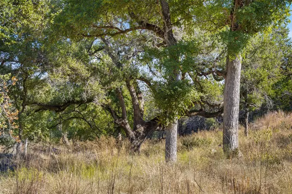 Marble Falls, TX 78654,1301 RM 2147