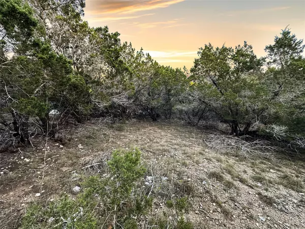 Lago Vista, TX 78645,3605 Stillwood LN