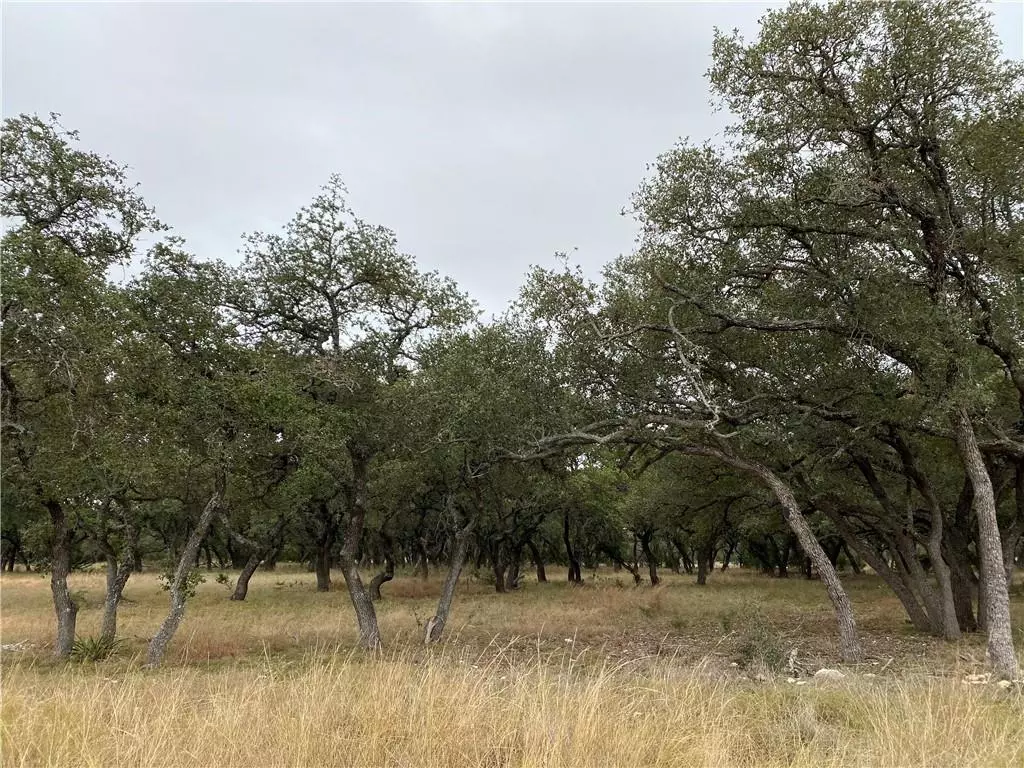 Lampasas, TX 76550,169 Oryx LN