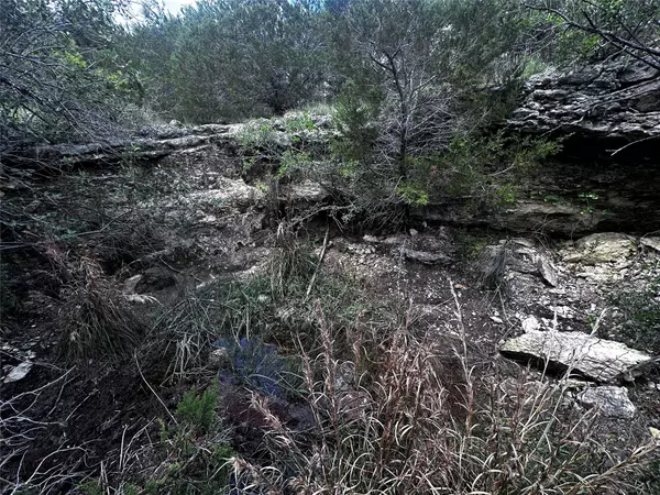 Spicewood, TX 78669,21114 Bertram LN