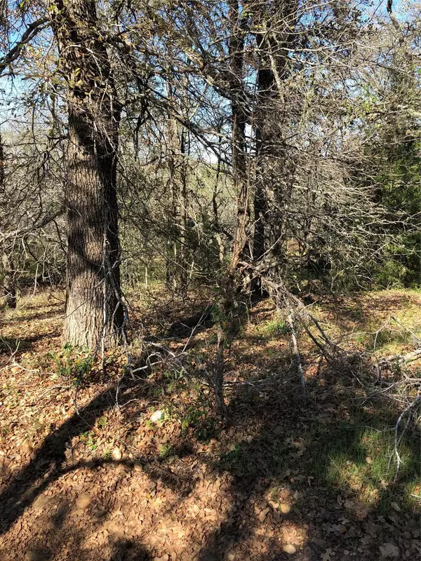 Bastrop, TX 78602,2000 South ST