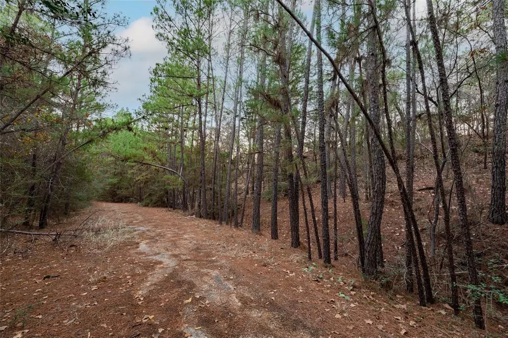 Bastrop, TX 78602,TBD Lot 1183 Kaiwi CT