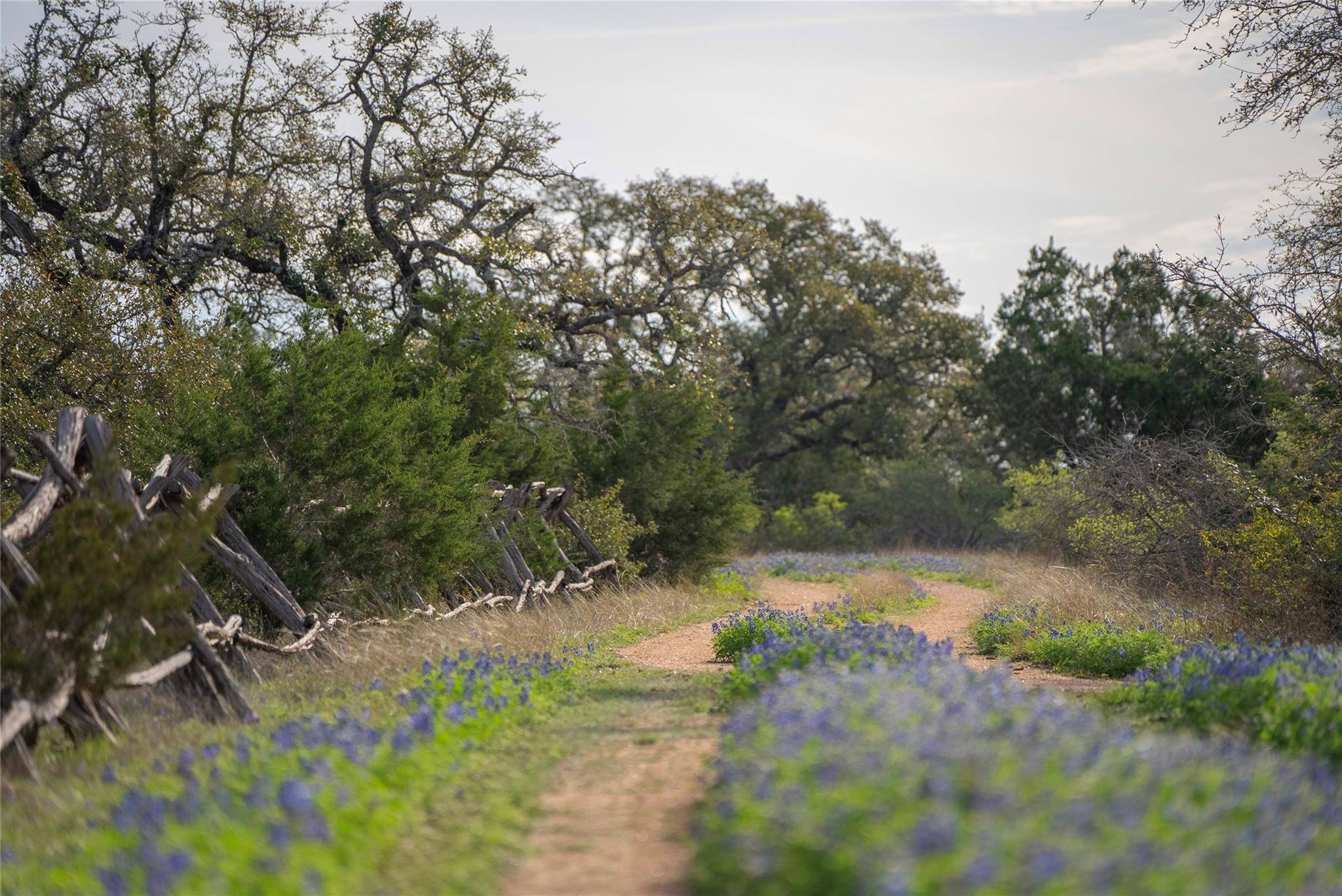 Dripping Springs, TX 78620,TBD Bell Springs RD