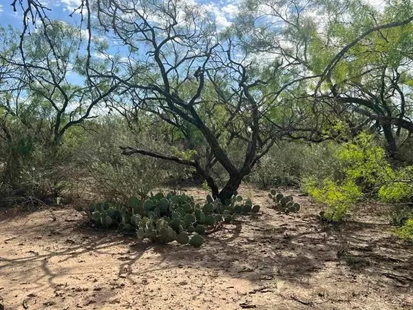 Goldthwaite, TX 76844,540 State Hwy. 16 HWY