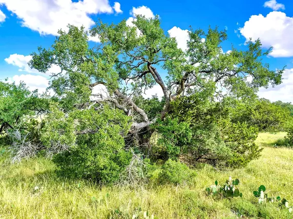 San Marcos, TX 78666,TBD Oakwood LOOP