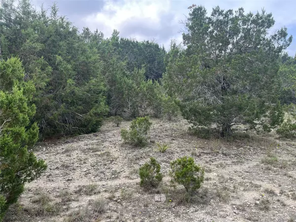 Spicewood, TX 78669,22305 Elgin DR