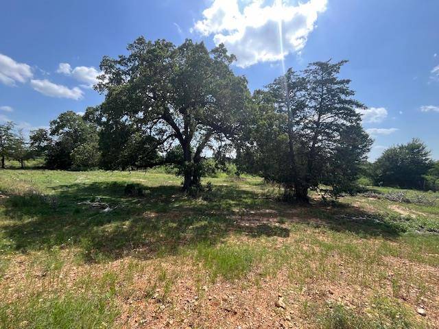 Paige, TX 78659,TBD Antioch RD
