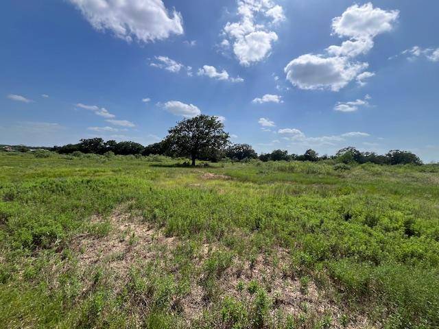 TBD Antioch RD, Paige, TX 78659
