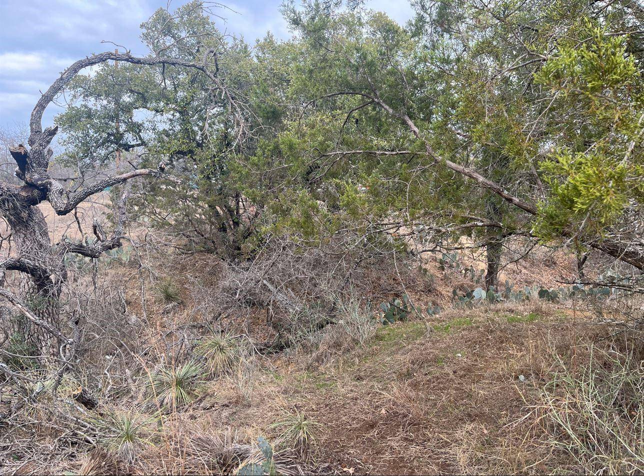 Granite Shoals, TX 78654,Lot 261 W Briarway DR