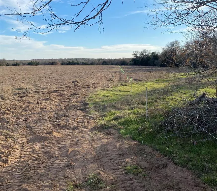 Cedar Creek, TX 78612,TBD FM 20 HWY