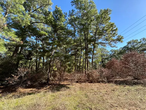 Bastrop, TX 78602,Lot 1 Pin Oak CT