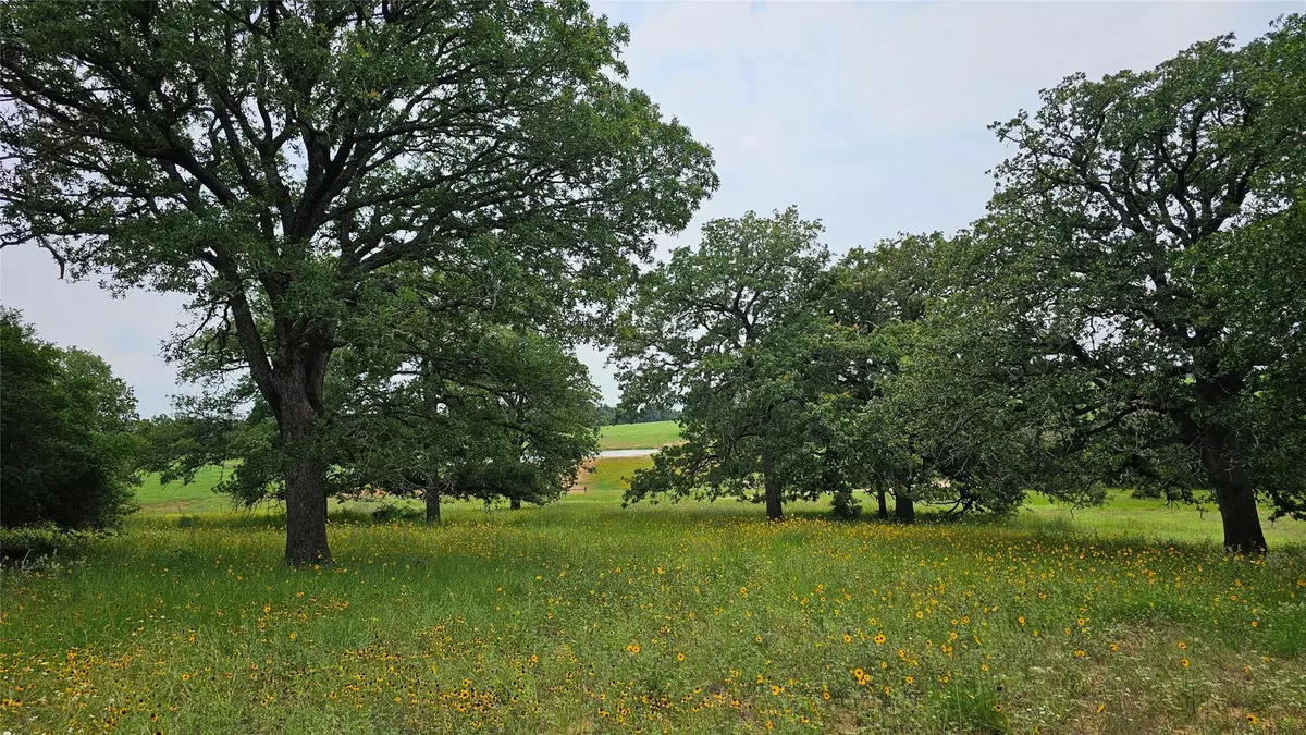 Thrall, TX 76578,2181 CR 481 Tract 5