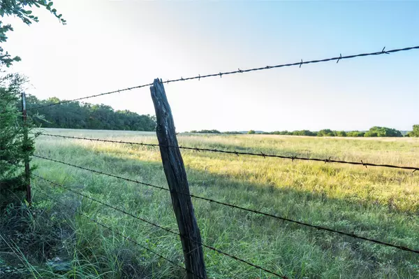 Blanco, TX 78660,TBD Crabapple RD