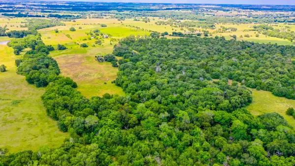 Schulenburg, TX 78956,TBD - Lot 7 County Road 222