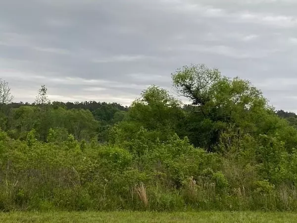 Chandler, TX 75758,TBD Hwy 31