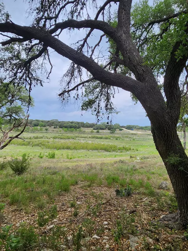 Canyon Lake, TX 78133,1279 Kings Cove DR