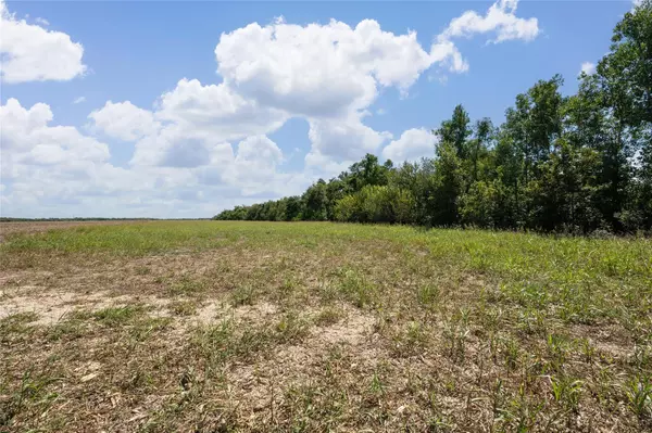 Granger, TX 76530,000 County Rd 335