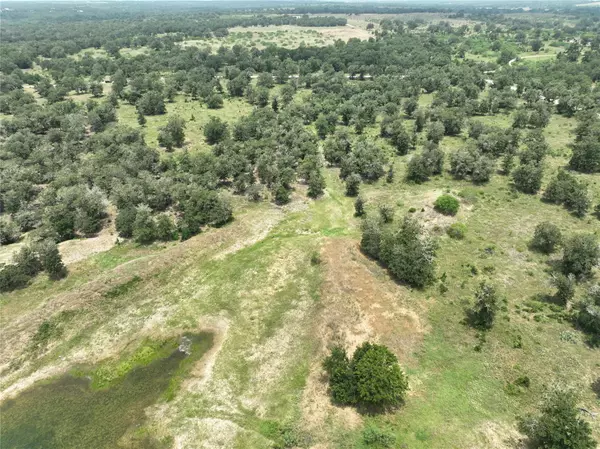 Lockhart, TX 78644,TBD Mineral Springs RD