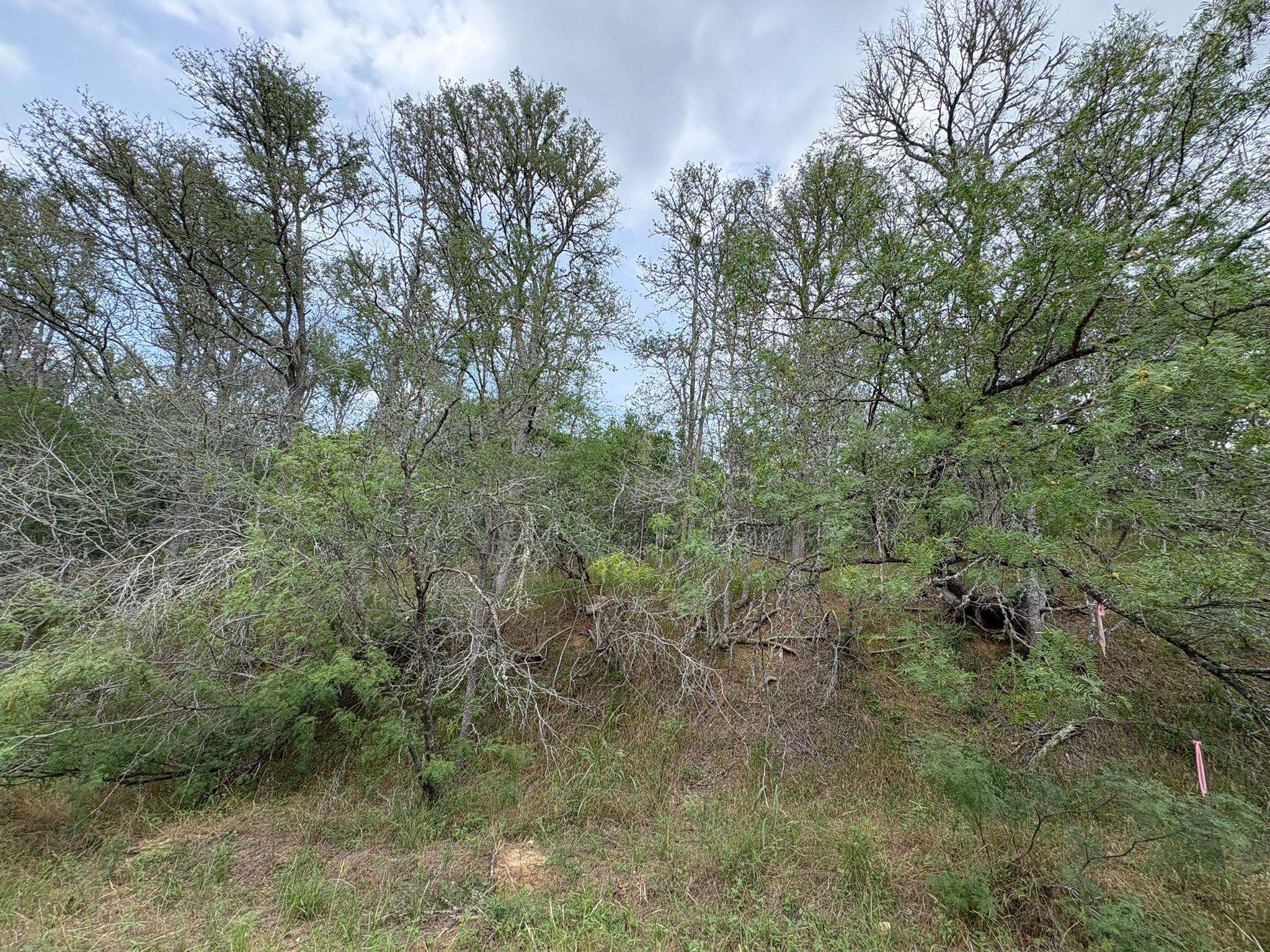 Bastrop, TX 78602,0000 Kaukonahua LN