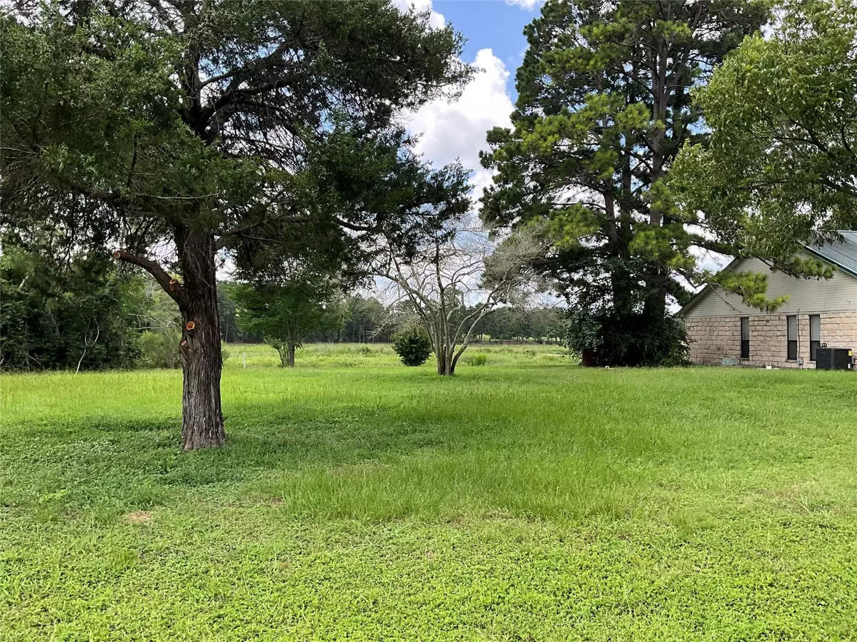 Bastrop, TX 78602,114 Shore Front DR