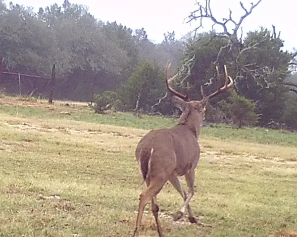 Lampasas, TX 76550,2334 CR 105