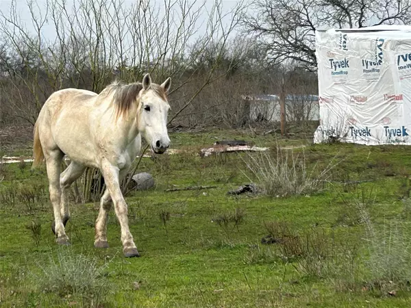 Dale, TX 78616,1340 Pettytown RD