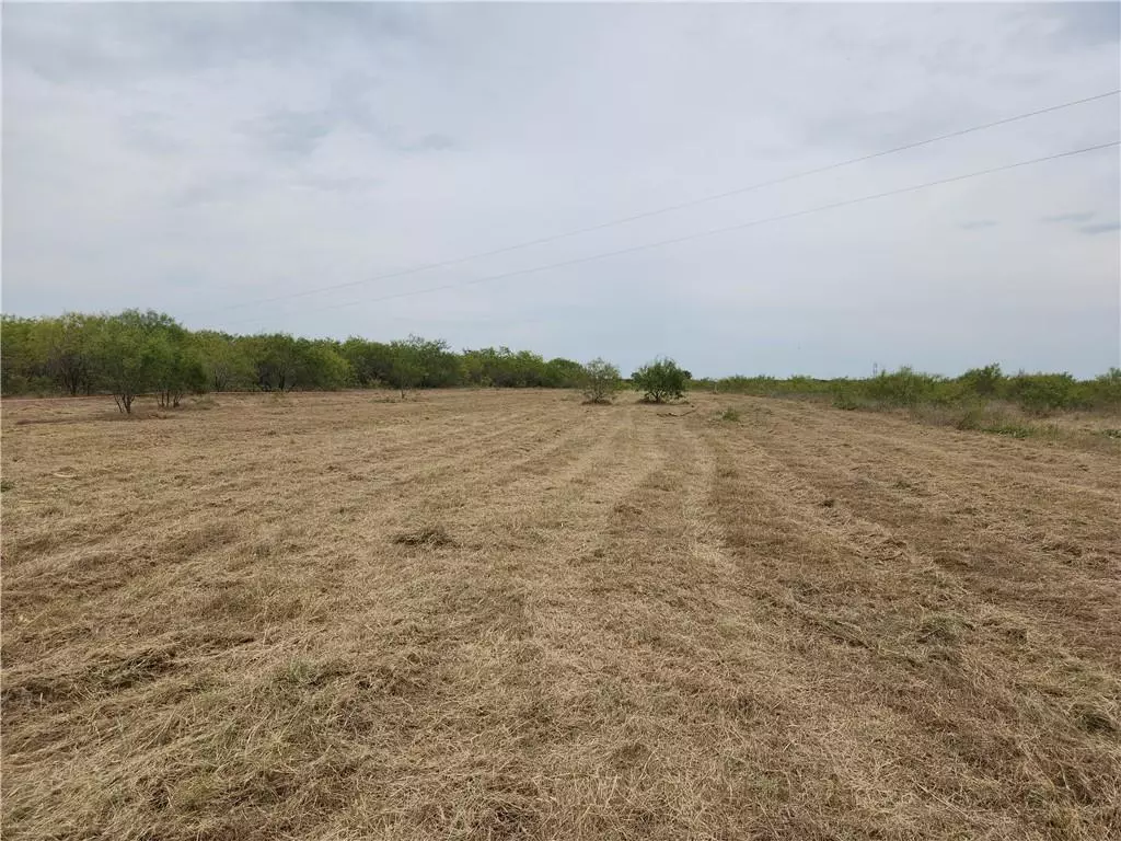 Elgin, TX 78621,0000 Balch RD #Lot 12