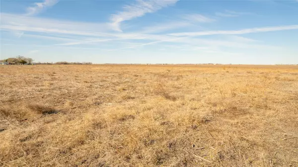 Buckholts, TX 78518,0000 CR 124