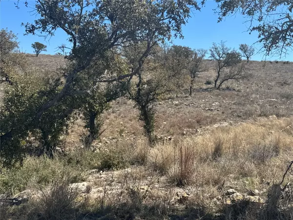 Kingsland, TX 78639,Lot 203 Westridge Way, Big Creek Ranch