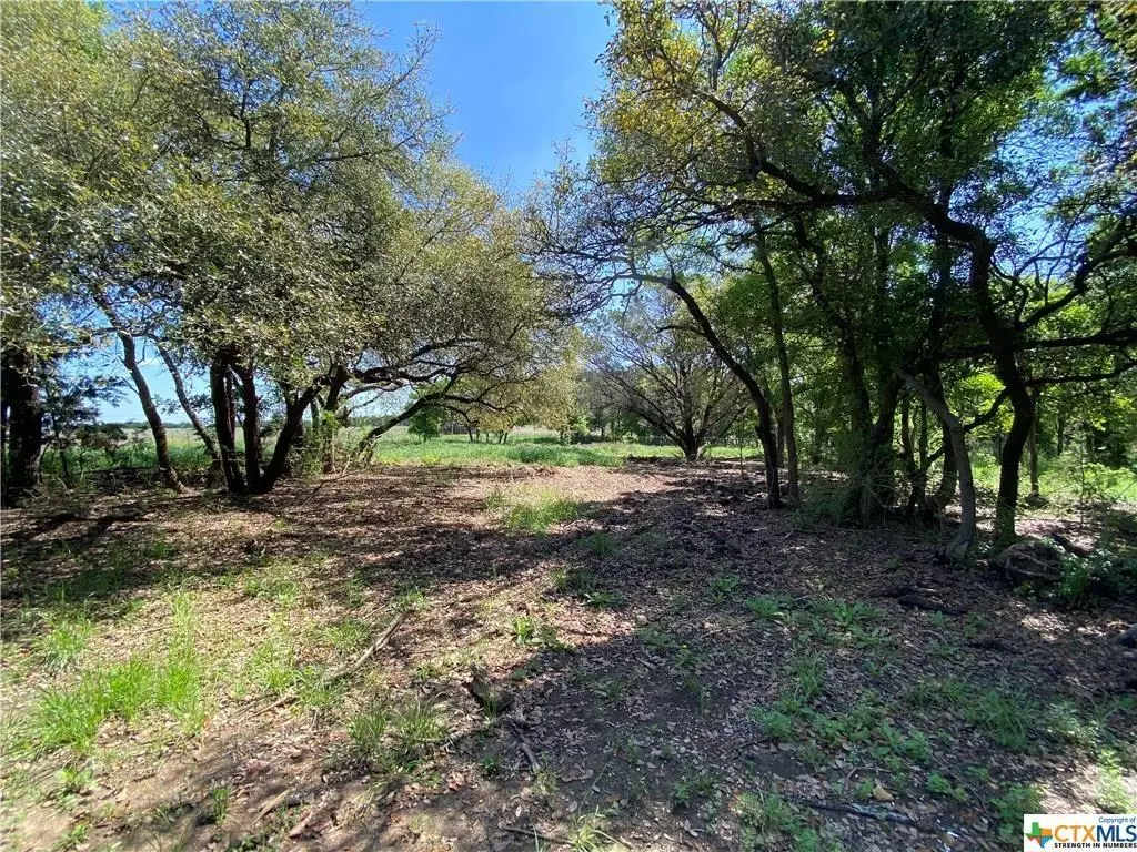 Salado, TX 76571,0000 Tract 9 Royal ST