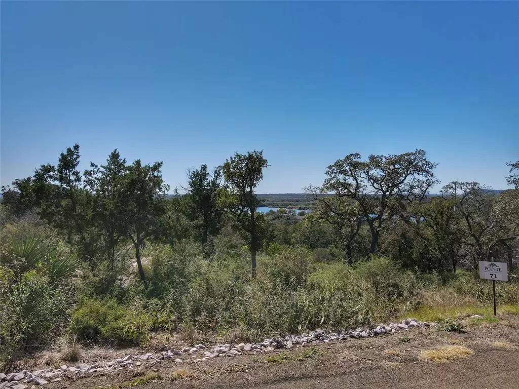 Kingsland, TX 78639,Lot 71 War Bonnet RDG