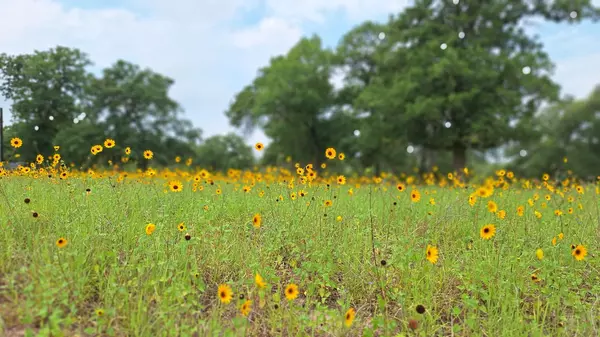 Luling, TX 78648,Lot 222 Flash CIR