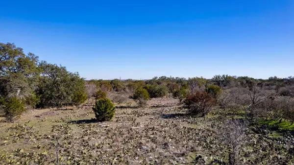 Dripping Springs, TX 78620,TBD Whitetail DR