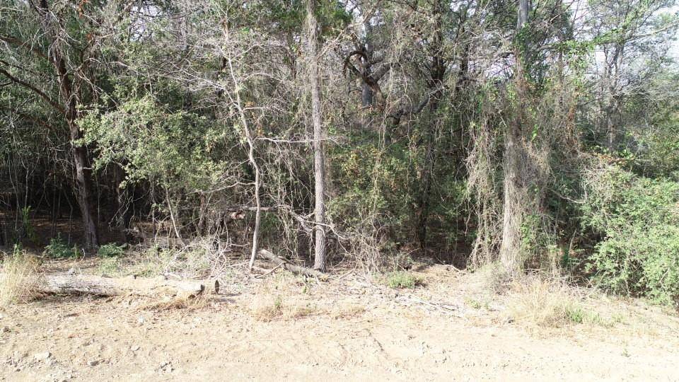 Bastrop, TX 78602,Lot 1232 Hanauma DR