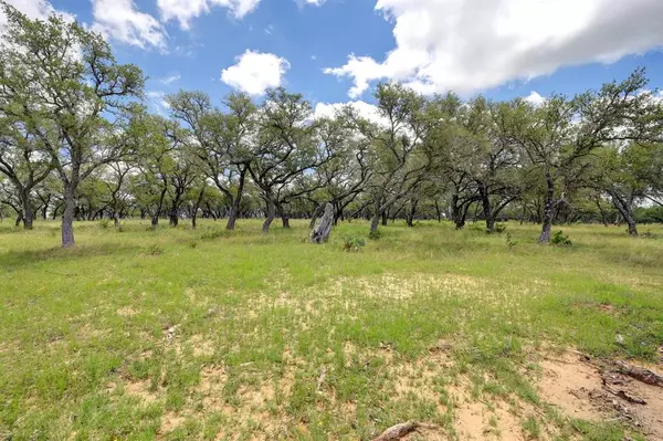 Fredericksburg, TX 78624,Lot 12 Silas TRL