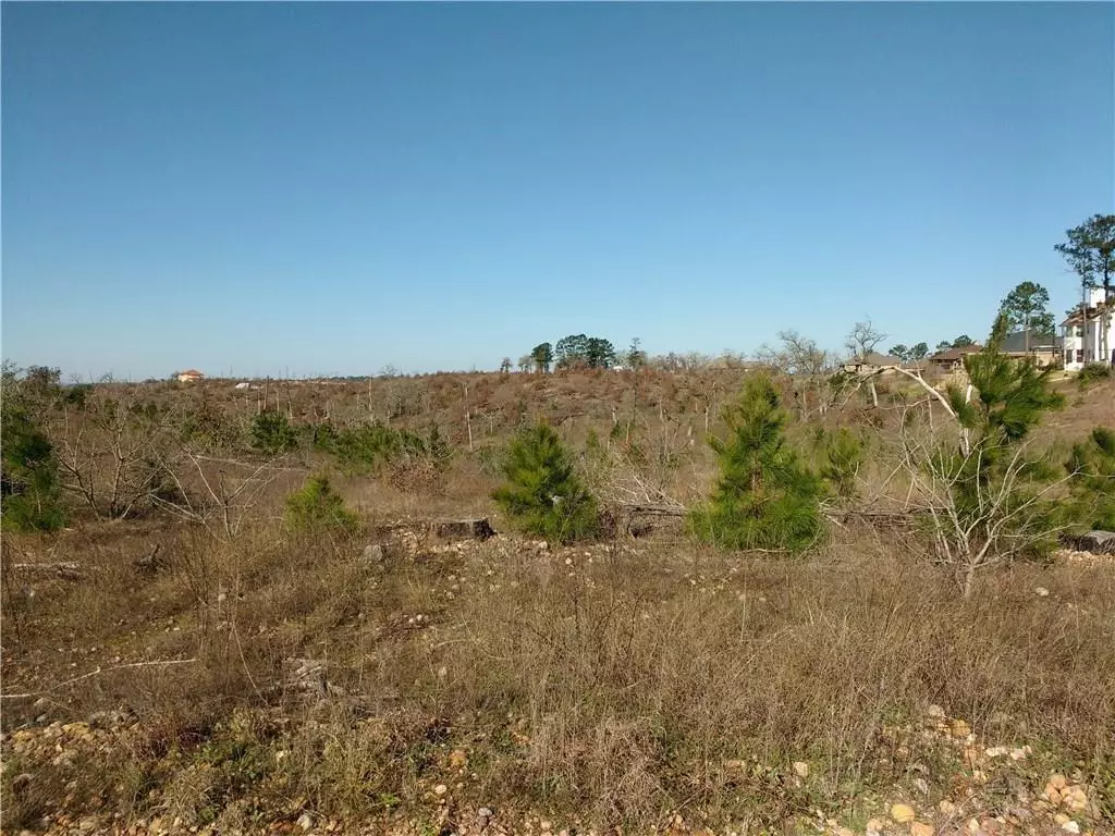 Bastrop, TX 78602,00 MCALLISTER RD