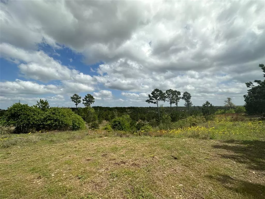 Smithville, TX 78957,339 Cottletown RD