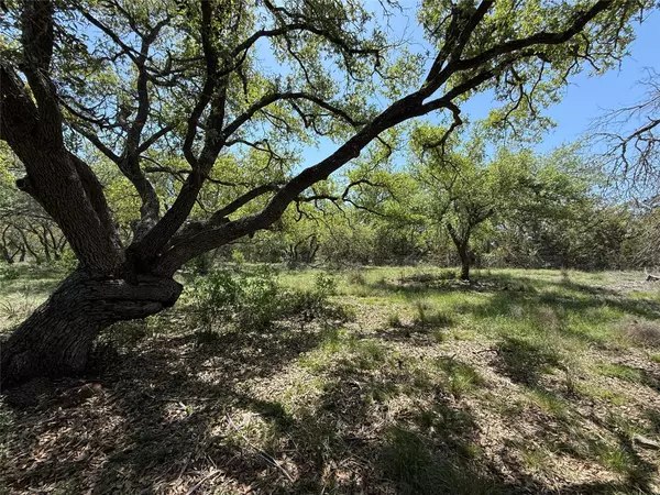 Lot 106 E Flying Owl DR, Johnson City, TX 78636