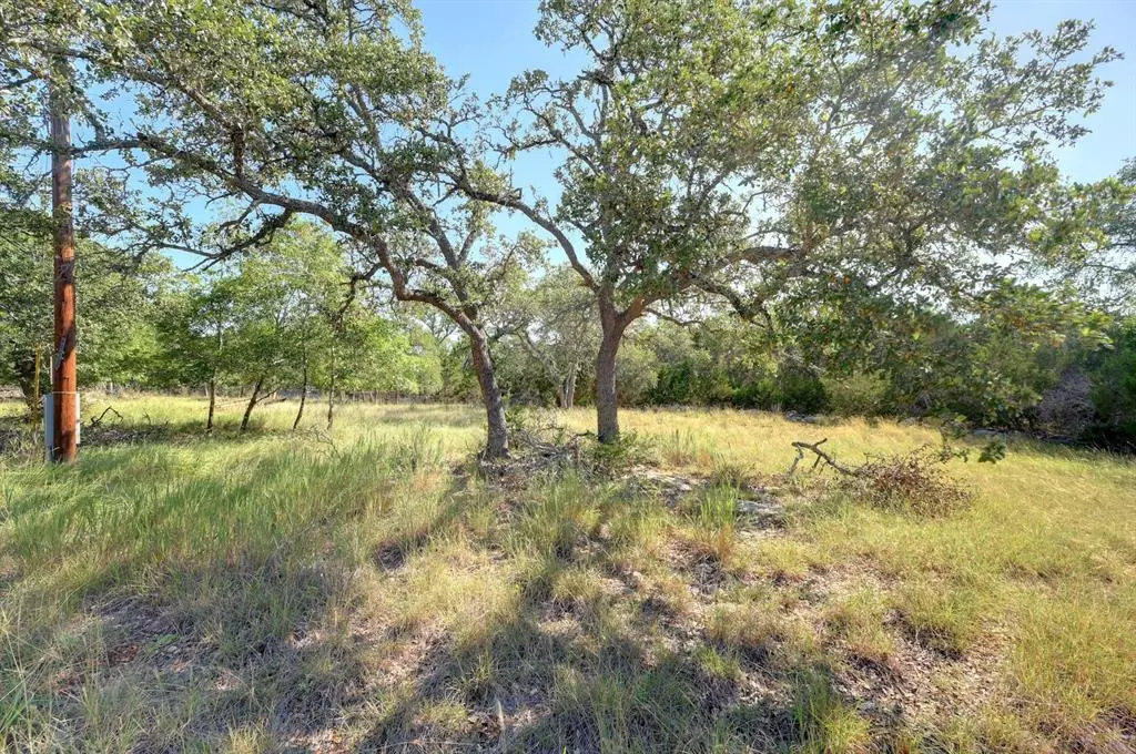 Blanco, TX 78606,1259 Forest View DR