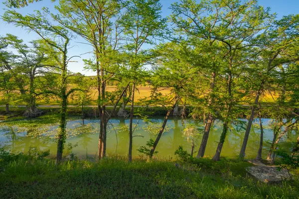 Ingram, TX 78025,359 Beaver RD