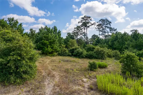 Bastrop, TX 78602,Lot 122 Kelley RD W